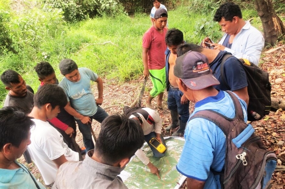 Forest Regeneration | Peru